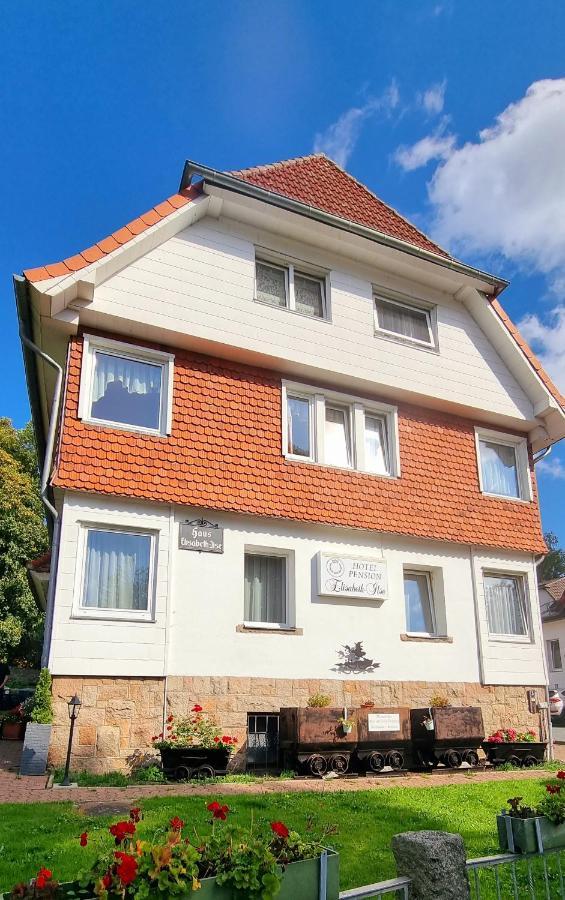 Hotel Elisabeth-Ilse Braunlage Extérieur photo